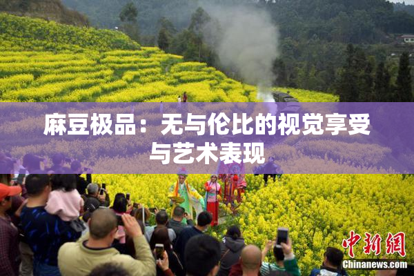 麻豆极品：无与伦比的视觉享受与艺术表现