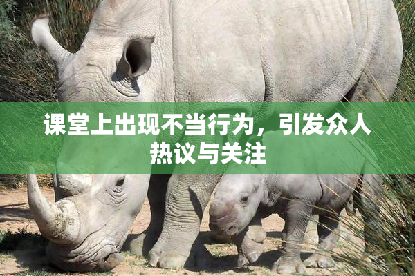 课堂上出现不当行为，引发众人热议与关注