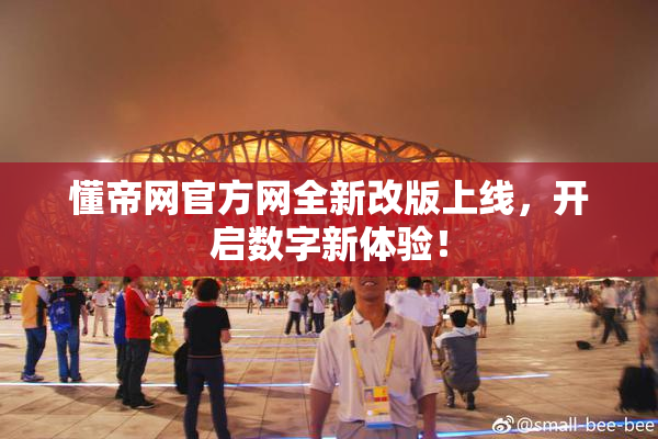 懂帝网官方网全新改版上线，开启数字新体验！