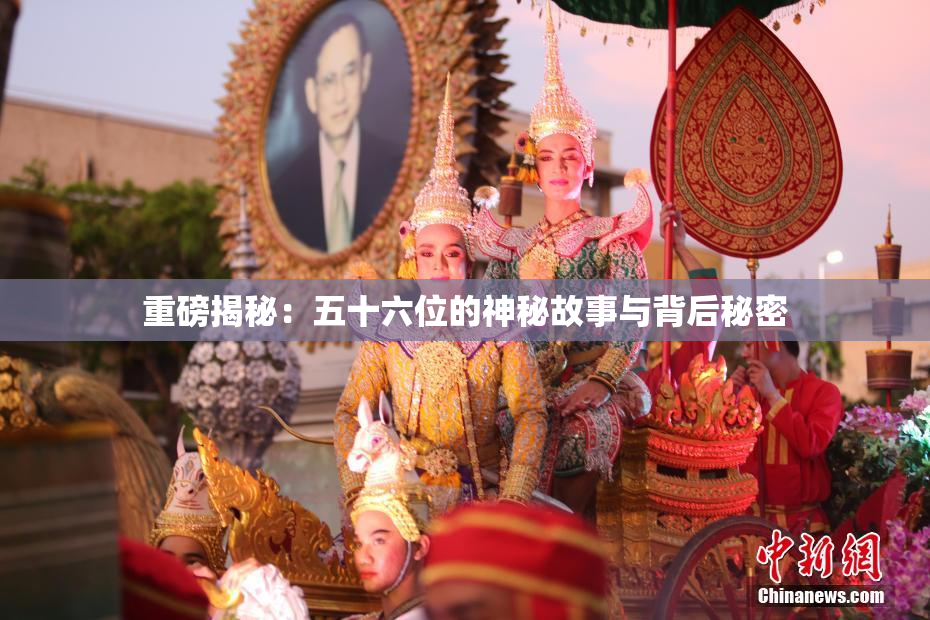 重磅揭秘：五十六位的神秘故事与背后秘密