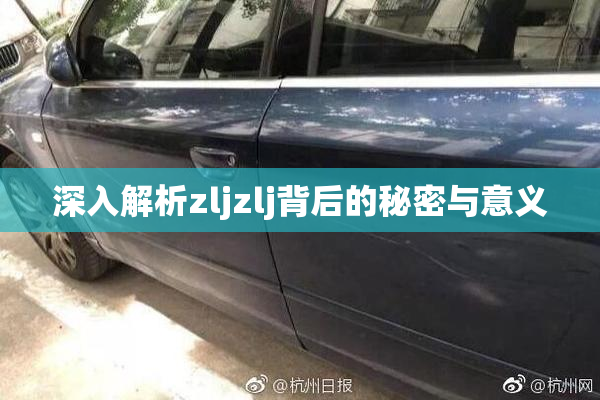 深入解析zljzlj背后的秘密与意义