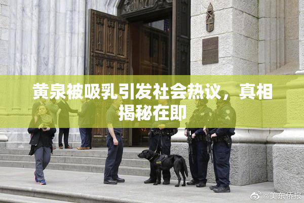 黄泉被吸乳引发社会热议，真相揭秘在即