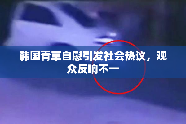 韩国青草自慰引发社会热议，观众反响不一