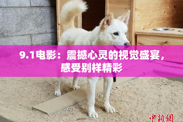 9.1电影：震撼心灵的视觉盛宴，感受别样精彩