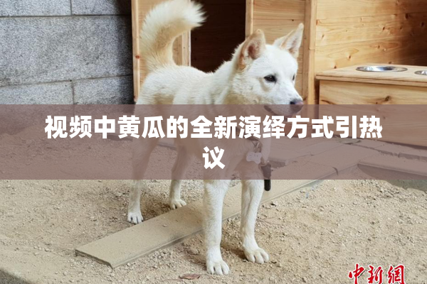 视频中黄瓜的全新演绎方式引热议