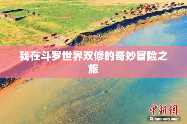 我在斗罗世界双修的奇妙冒险之旅