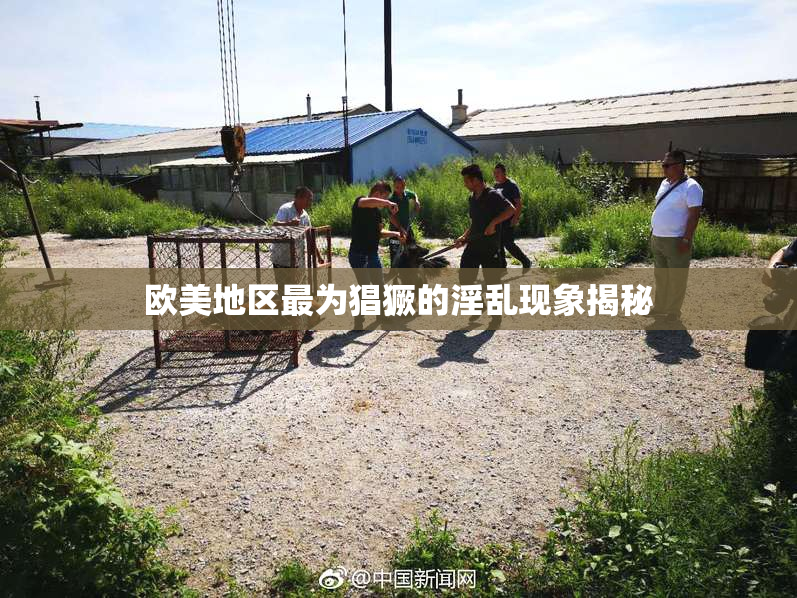 欧美地区最为猖獗的淫乱现象揭秘