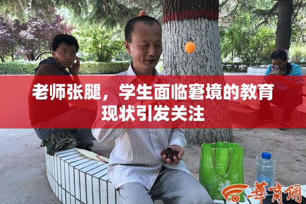 老师张腿，学生面临窘境的教育现状引发关注