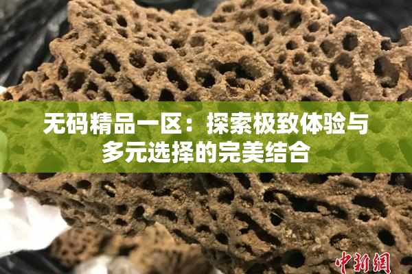 无码精品一区：探索极致体验与多元选择的完美结合