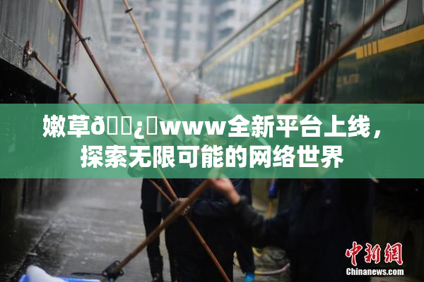 嫩草🌿‌www全新平台上线，探索无限可能的网络世界