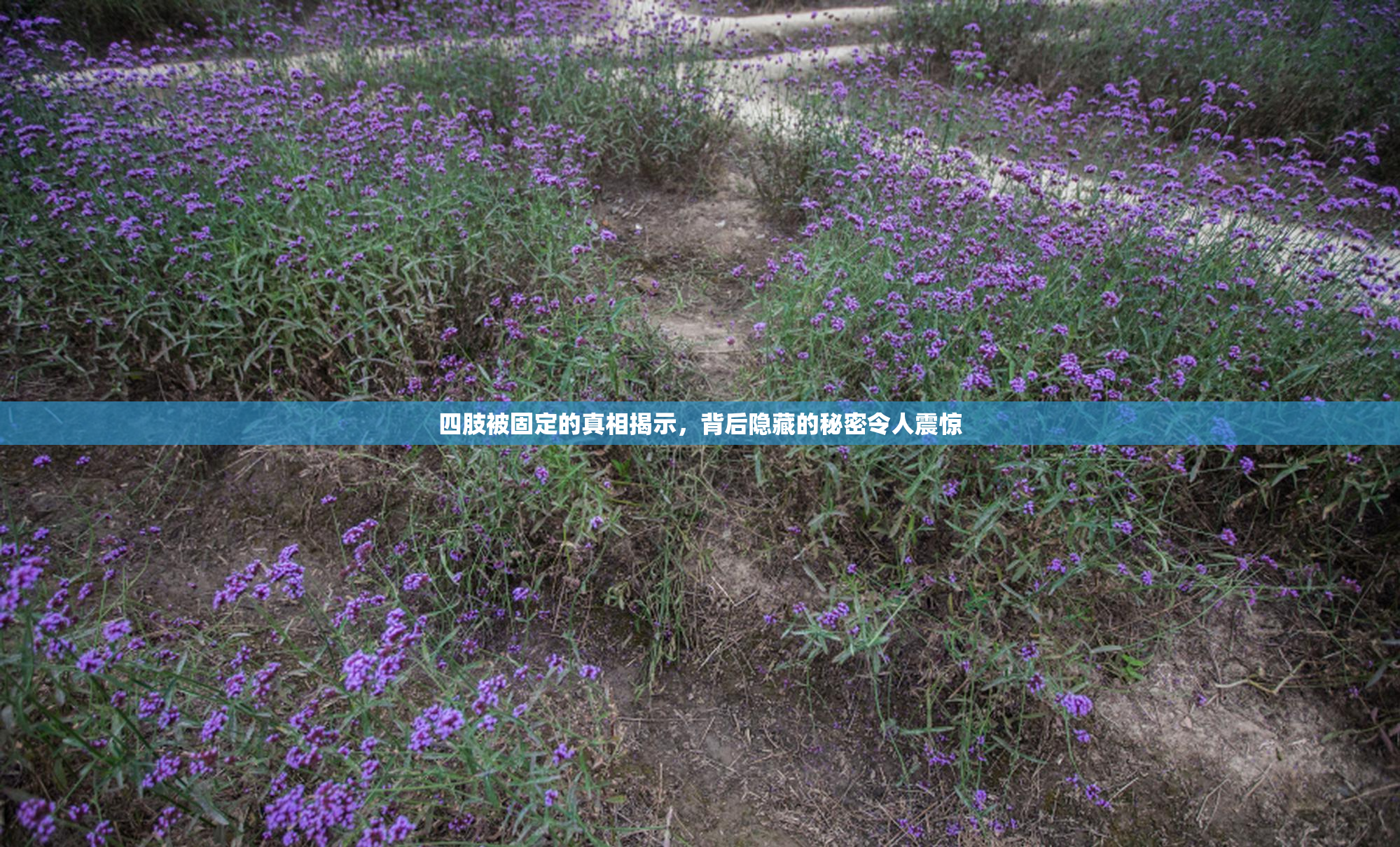 四肢被固定的真相揭示，背后隐藏的秘密令人震惊