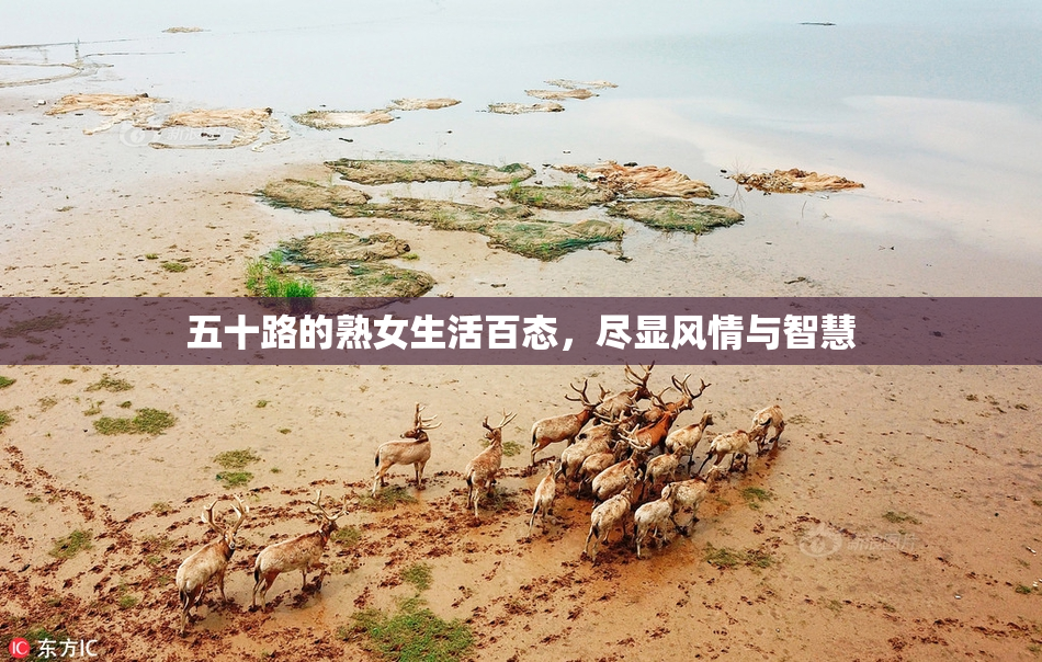 五十路的熟女生活百态，尽显风情与智慧