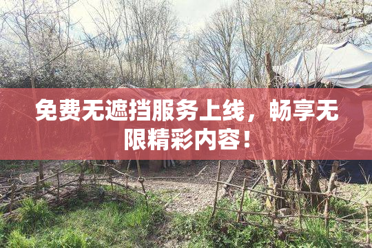 免费无遮挡服务上线，畅享无限精彩内容！