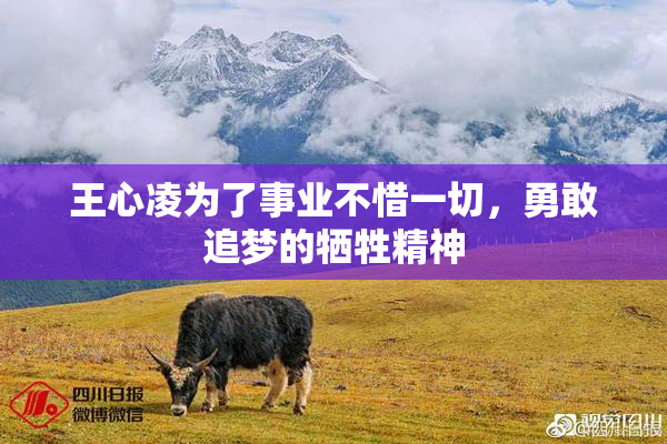 王心凌为了事业不惜一切，勇敢追梦的牺牲精神