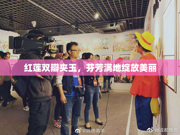 红莲双瓣夹玉，芬芳满地绽放美丽