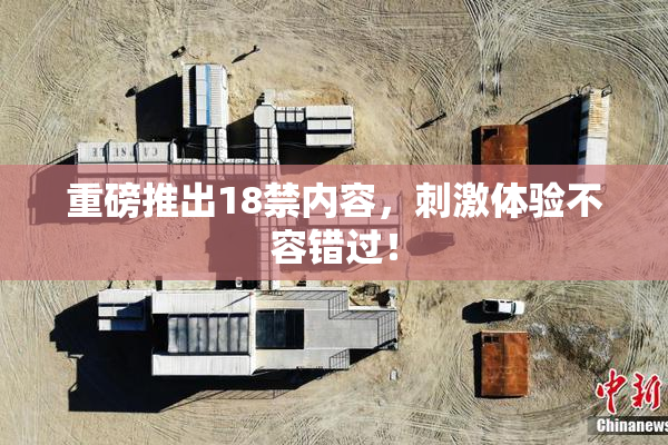 重磅推出18禁内容，刺激体验不容错过！