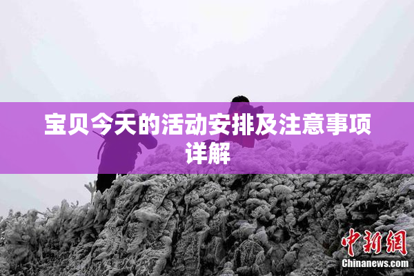 宝贝今天的活动安排及注意事项详解