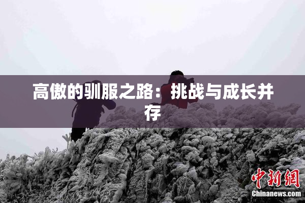 高傲的驯服之路：挑战与成长并存