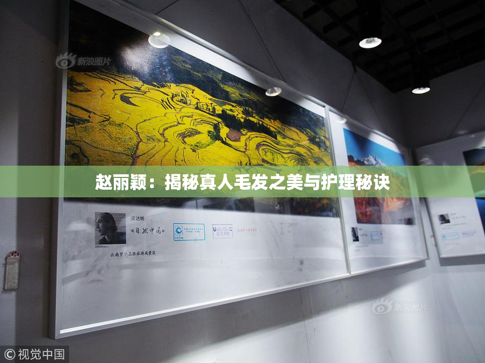 赵丽颖：揭秘真人毛发之美与护理秘诀