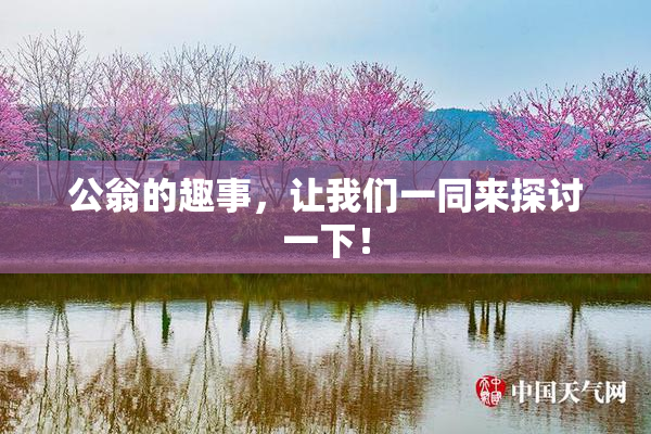公翁的趣事，让我们一同来探讨一下！