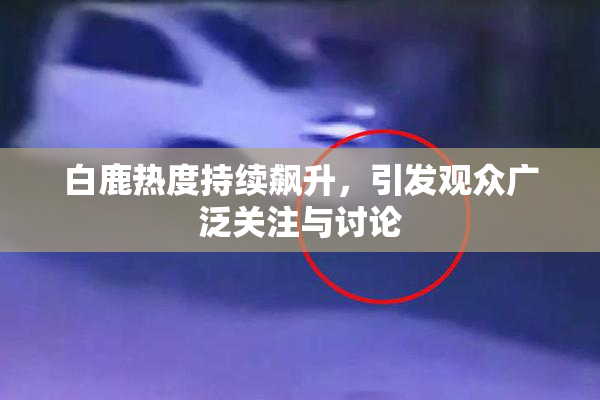 白鹿热度持续飙升，引发观众广泛关注与讨论
