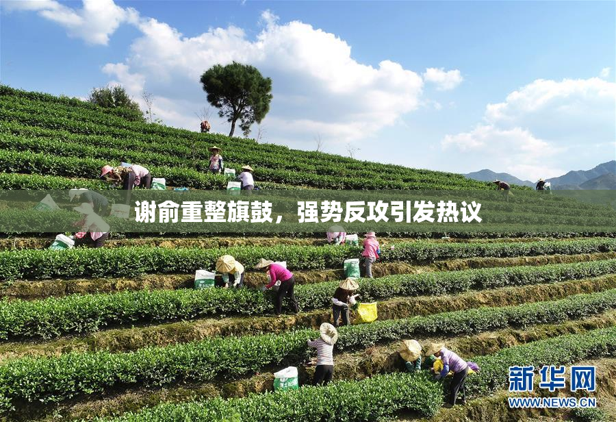 谢俞重整旗鼓，强势反攻引发热议