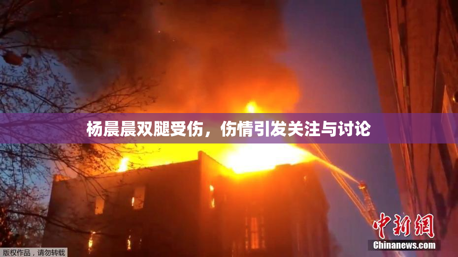 杨晨晨双腿受伤，伤情引发关注与讨论