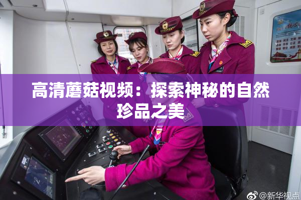 高清蘑菇视频：探索神秘的自然珍品之美