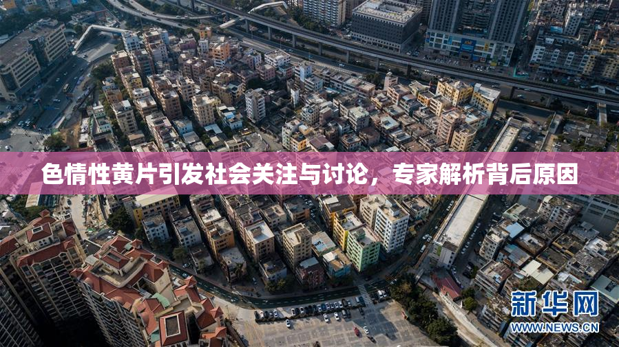 色情性黄片引发社会关注与讨论，专家解析背后原因
