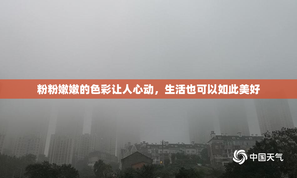 粉粉嫩嫩的色彩让人心动，生活也可以如此美好