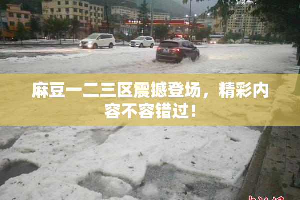 麻豆一二三区震撼登场，精彩内容不容错过！