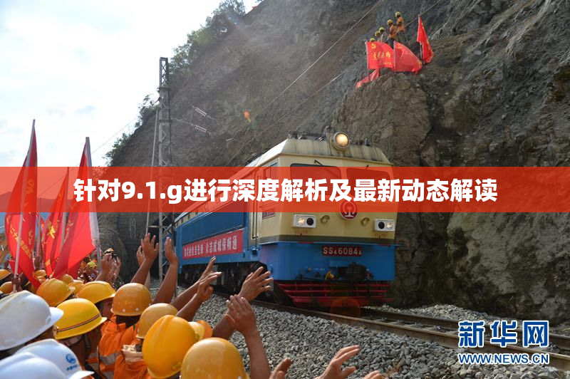 针对9.1.g进行深度解析及最新动态解读
