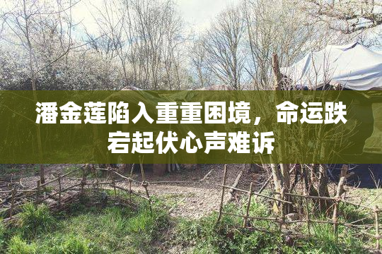 潘金莲陷入重重困境，命运跌宕起伏心声难诉
