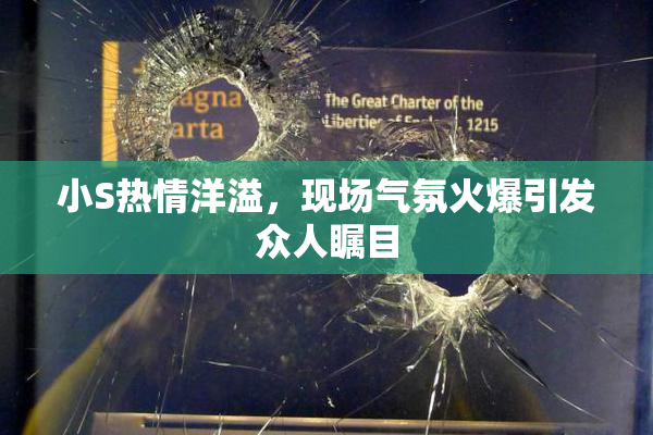 小S热情洋溢，现场气氛火爆引发众人瞩目