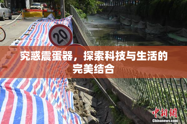 究惑震蛋器，探索科技与生活的完美结合