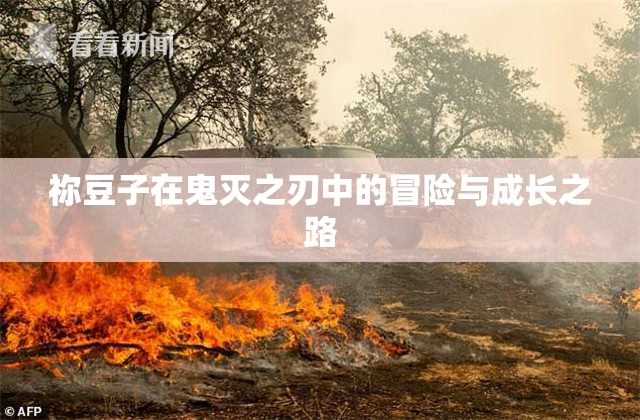 祢豆子在鬼灭之刃中的冒险与成长之路