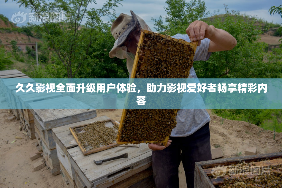 久久影视全面升级用户体验，助力影视爱好者畅享精彩内容