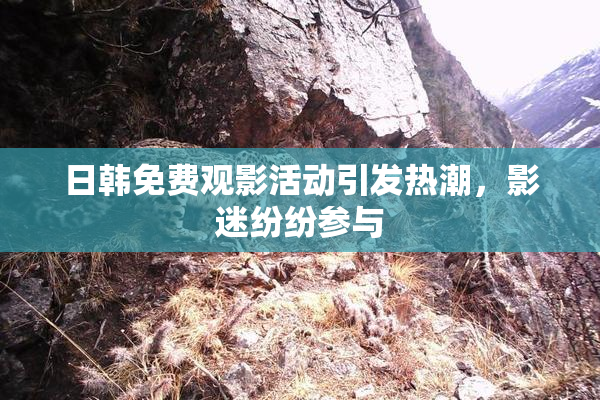 日韩免费观影活动引发热潮，影迷纷纷参与