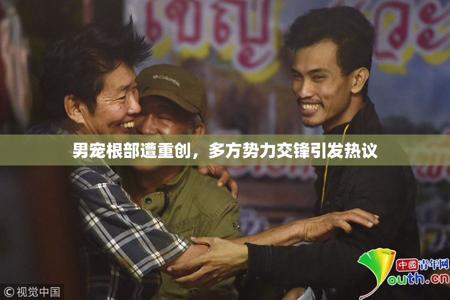 男宠根部遭重创，多方势力交锋引发热议