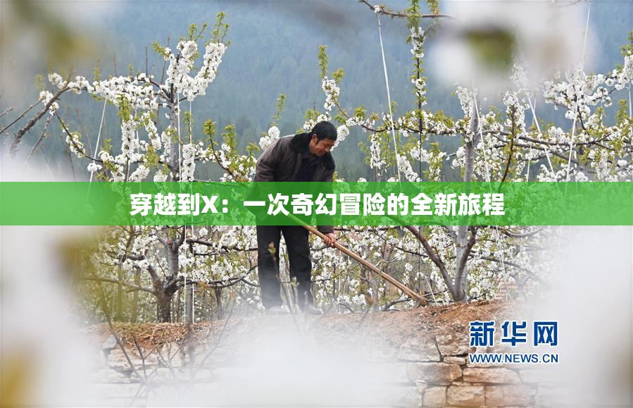 穿越到X：一次奇幻冒险的全新旅程