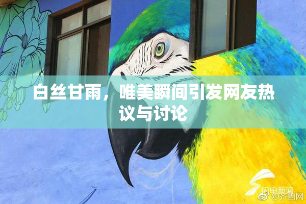 白丝甘雨，唯美瞬间引发网友热议与讨论