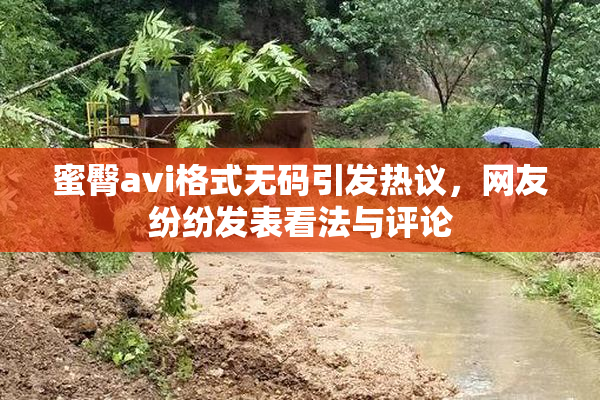 蜜臀avi格式无码引发热议，网友纷纷发表看法与评论