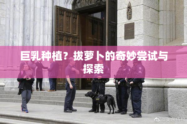 巨乳种植？拔萝卜的奇妙尝试与探索