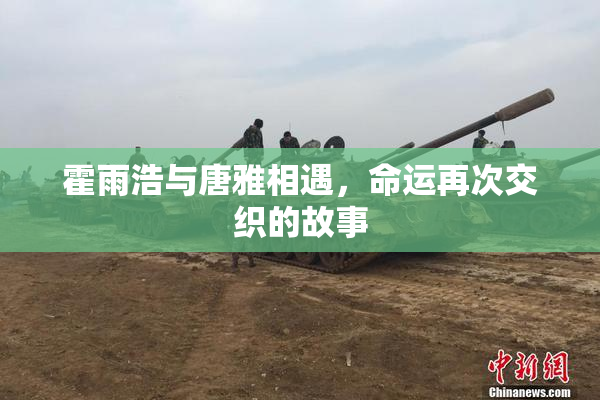 霍雨浩与唐雅相遇，命运再次交织的故事