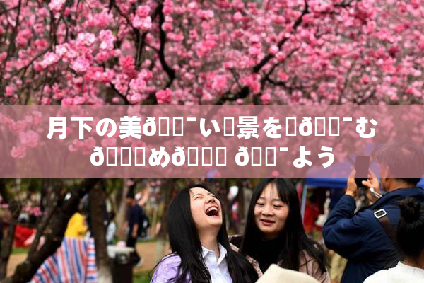 月下の美🔯い風景を楽🔯む👅め🎆 🔯よう