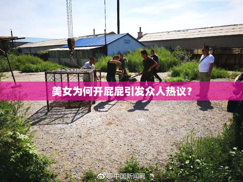 美女为何开屁屁引发众人热议？