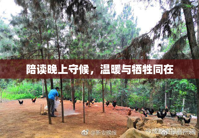 陪读晚上守候，温暖与牺牲同在