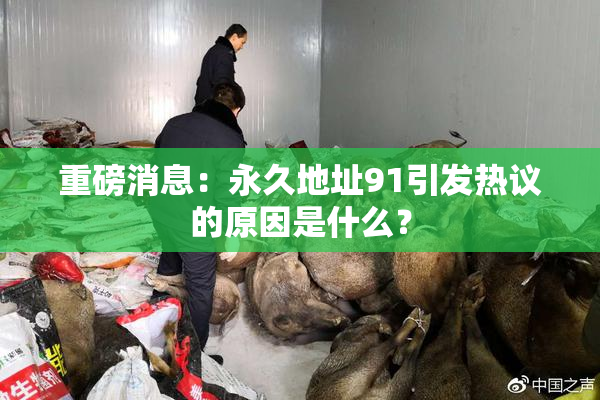 重磅消息：永久地址91引发热议的原因是什么？