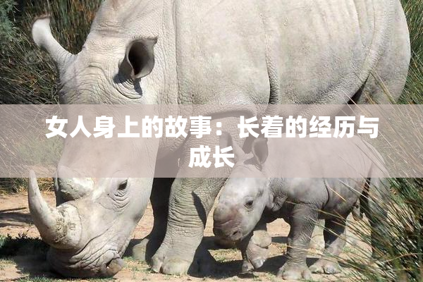 女人身上的故事：长着的经历与成长