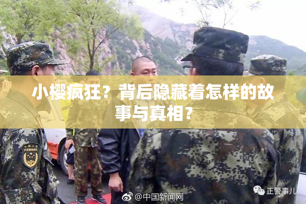 小樱疯狂？背后隐藏着怎样的故事与真相？
